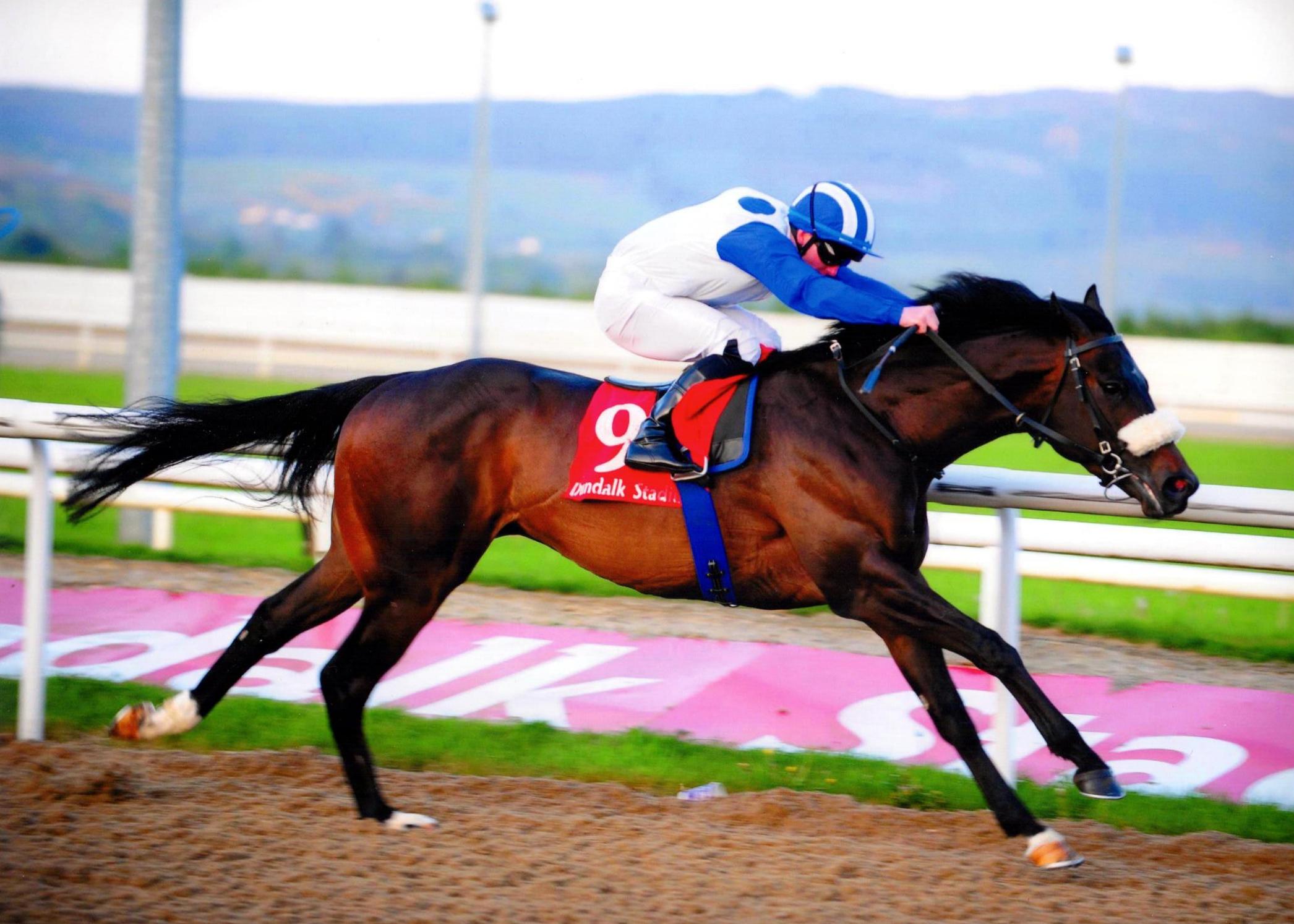STRADA DI CARSOLI sheds his maiden tag at Dundalk under Gary Carroll 15 May 2016